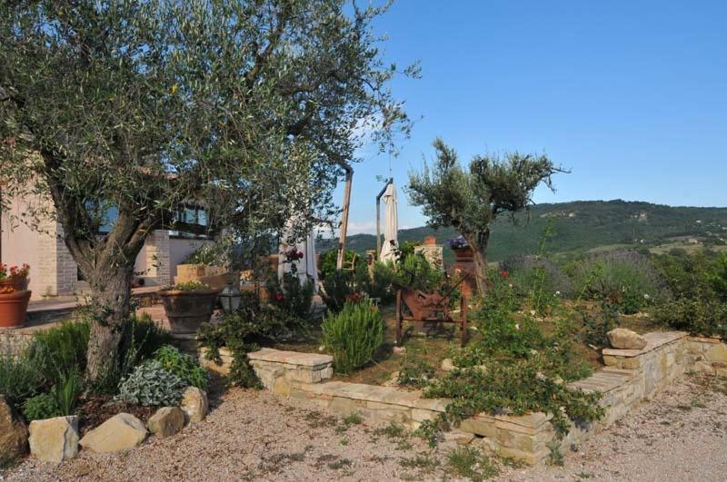 אומברטידה Villa Valentina Spa מראה חיצוני תמונה
